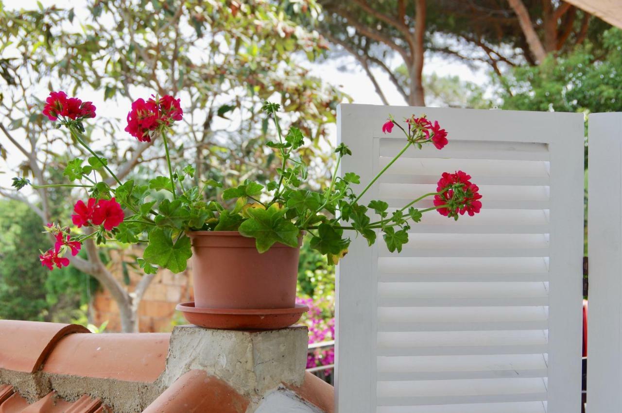 Casa Sulla Spiaggia- Mortelle Μεσίνα Εξωτερικό φωτογραφία